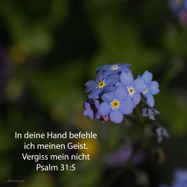 In deine Hand befehle ich meinen Geist ( Psalm 31, 5)