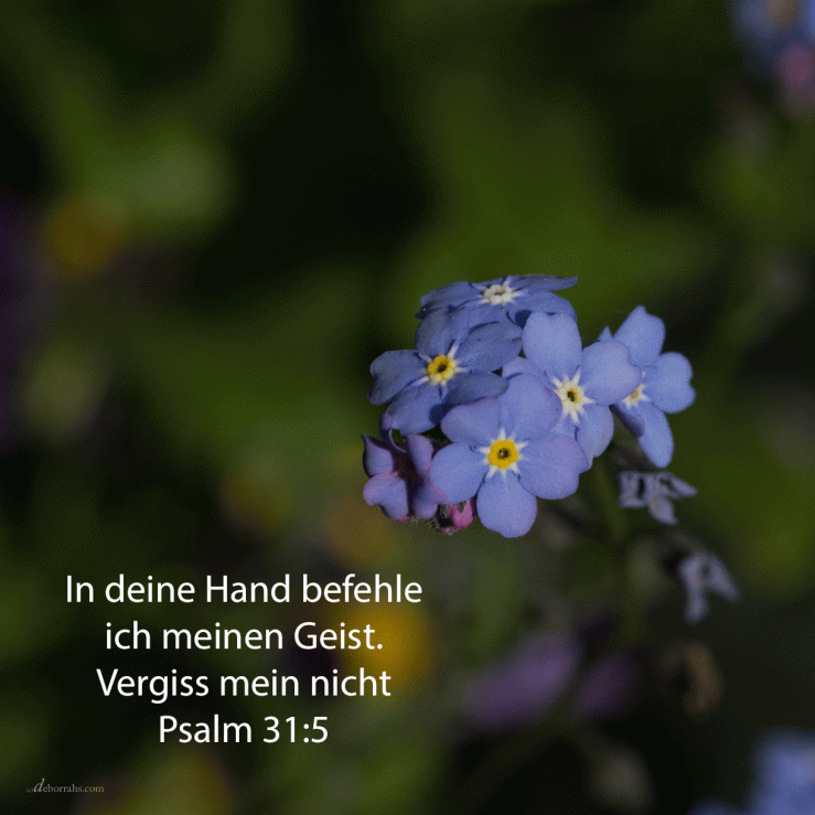 In deine Hand befehle ich meinen Geist ( Psalm 31, 5)