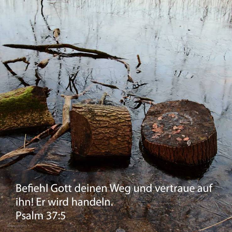 Befiehl Gott deinen Weg und vertraue auf ihn! und er wird handeln ( Psalm 37,5 )