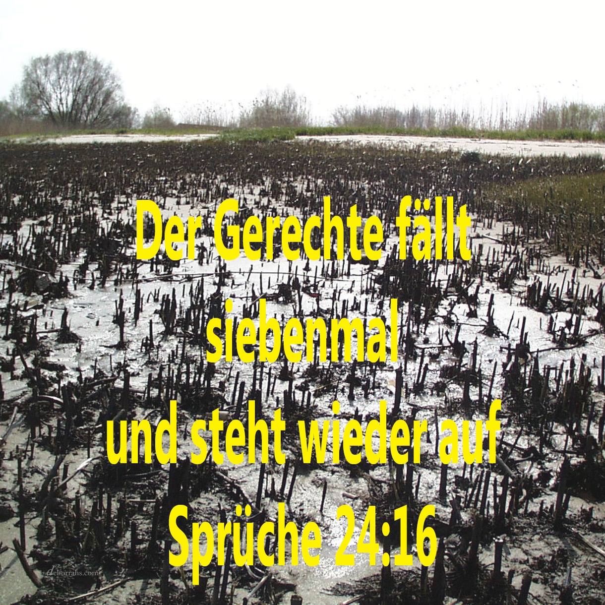 wenn ich schon wanderte im finsteren Tal ( Psalm 23, e )