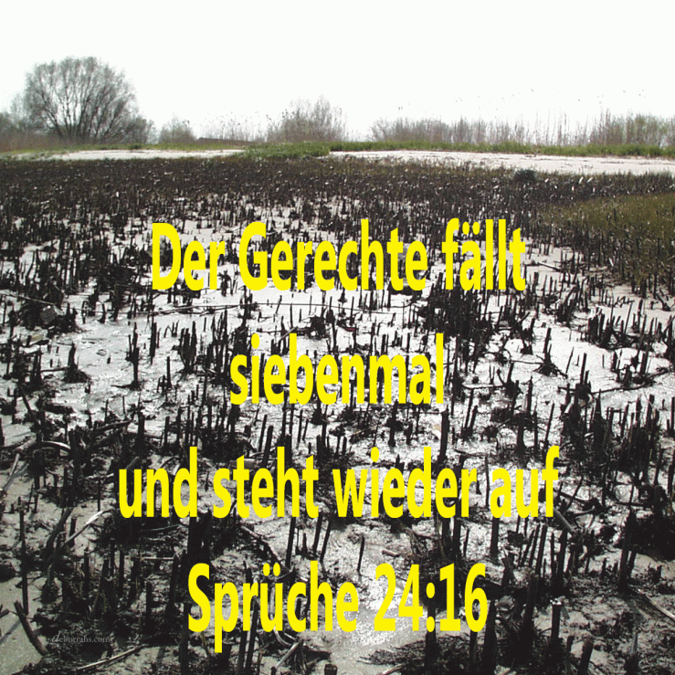 Der Gerechte fällt siebenmal und steht wieder auf ( Sprüche 2e,16)