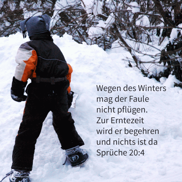 Wegen des Winters mag der Faule nicht pflügen ( Sprüche 20,4 )
