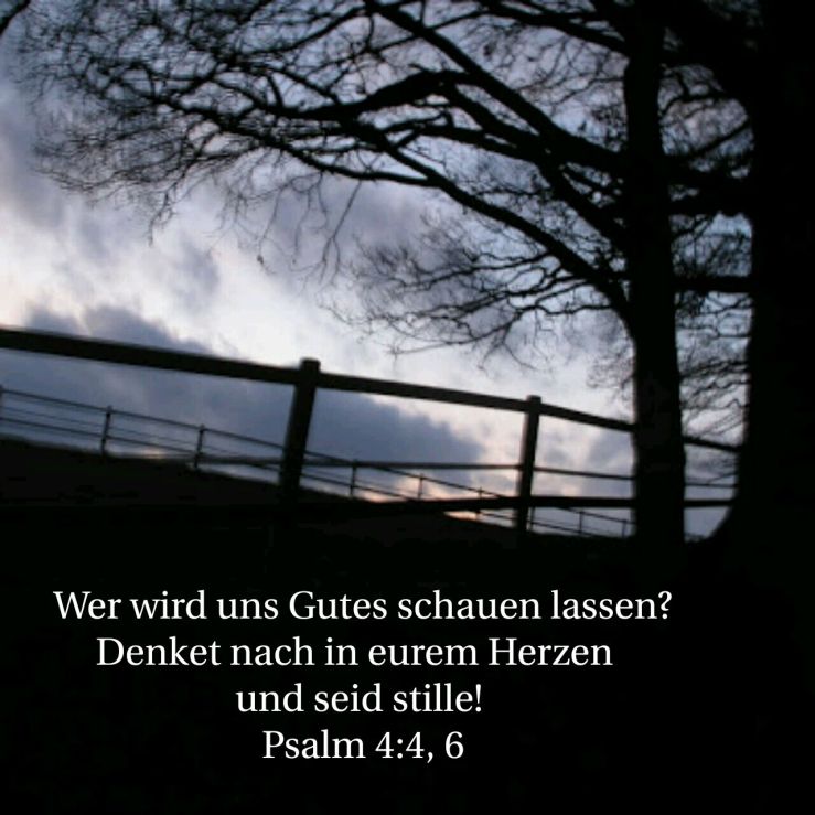 Du Gott, lässt mich in Sicherheit wohnen (Psalm 4)