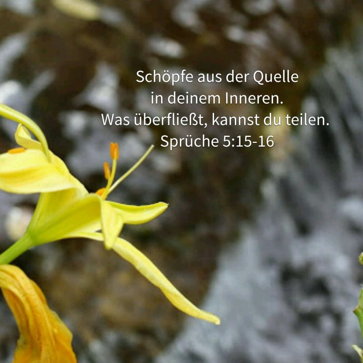 Die Quelle des Lebens ist in dir (Sprüche 5)