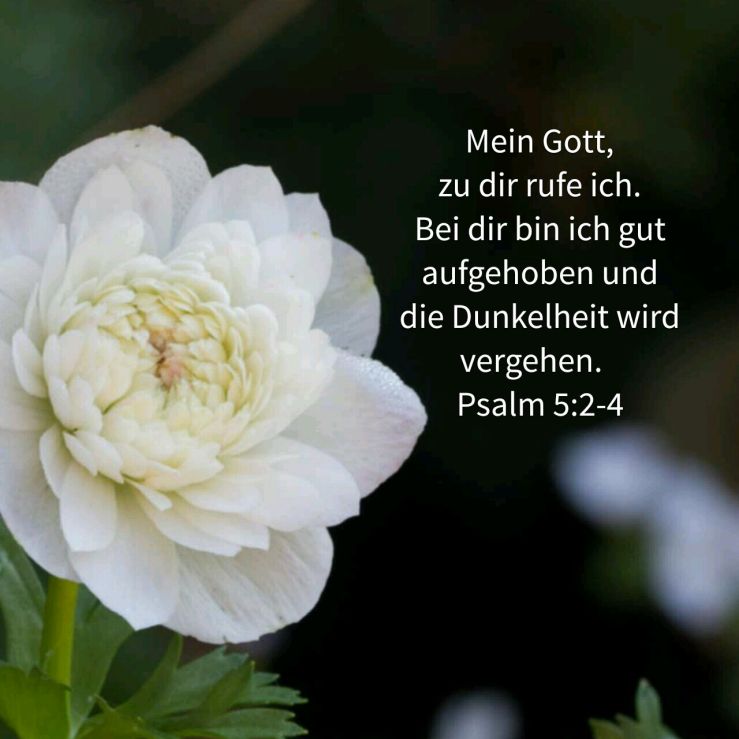 Gott hört dein Rufen (Psalm 5)