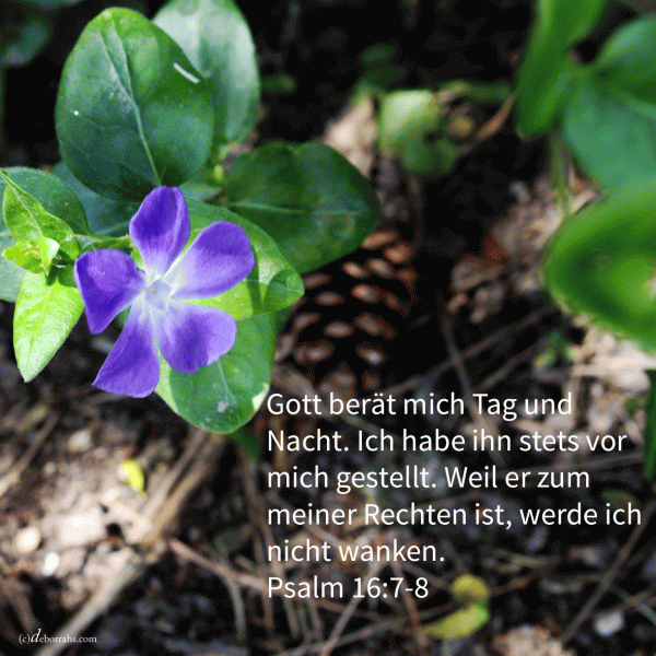 Darum freut sich mein Herz und frohlockt meine Seele (Psalm 16, 7-9)