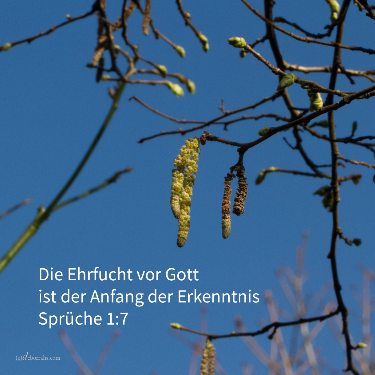 Die Furcht Jehovas ist er Erkenntnis Anfang; die Narren verachten Weisheit und Unterweisung ( Sprüche 1,7 ) 