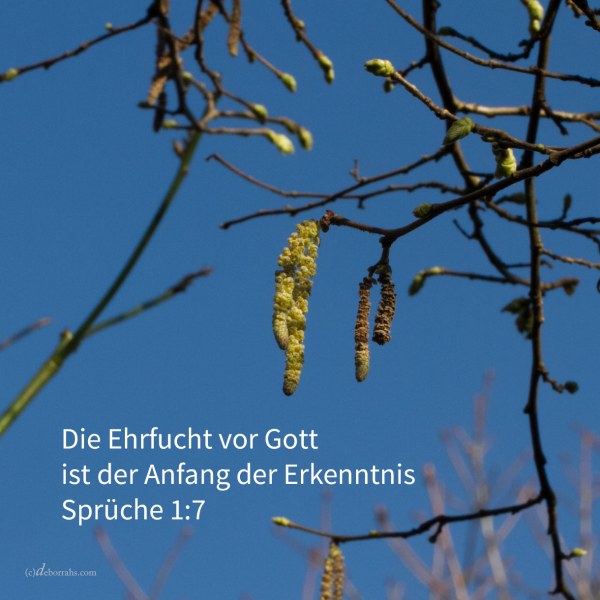 Die Furcht Jehovas ist er Erkenntnis Anfang; die Narren verachten Weisheit und Unterweisung ( Sprüche 1,7)