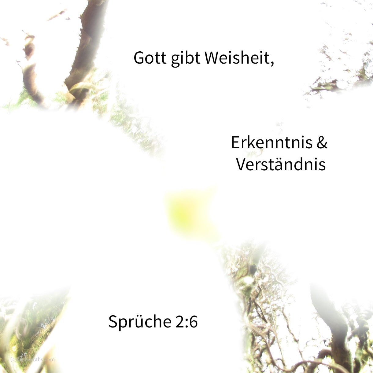 Denn Jehova gibt Weisheit; aus seinem Munde kommen Erkenntnis und Verständnis ( Sprüche 2,6 ) 