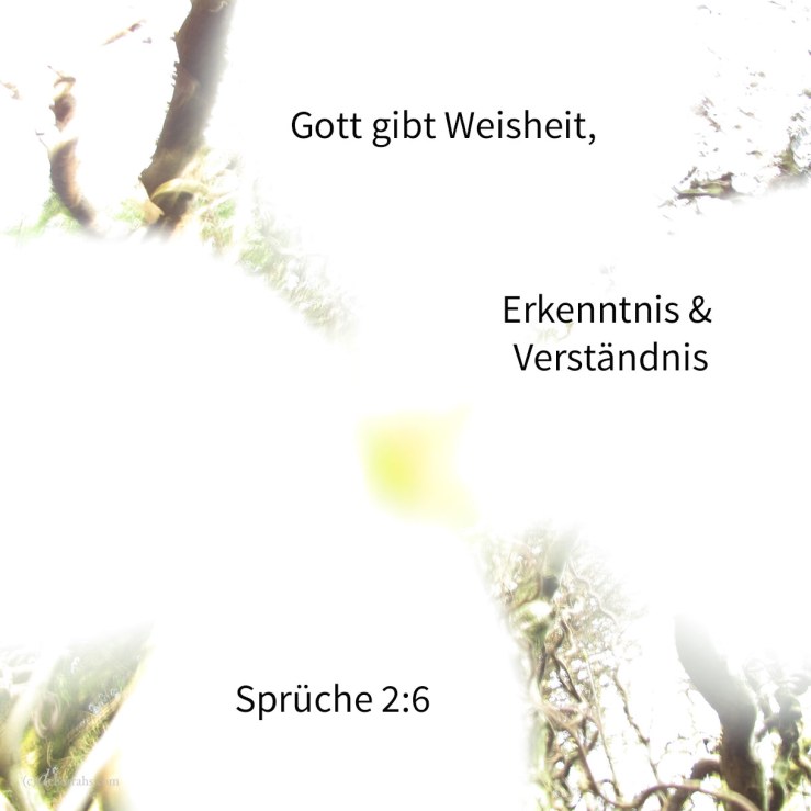 Denn Jehova gibt Weisheit; aus seinem Munde kommen Erkenntnis und Verständnis ( Sprüche 2,6 )