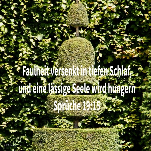 Faulheit versenkt in tiefen Schlaf und eine lässige Seele wird hungern ( Spr 19,15 )