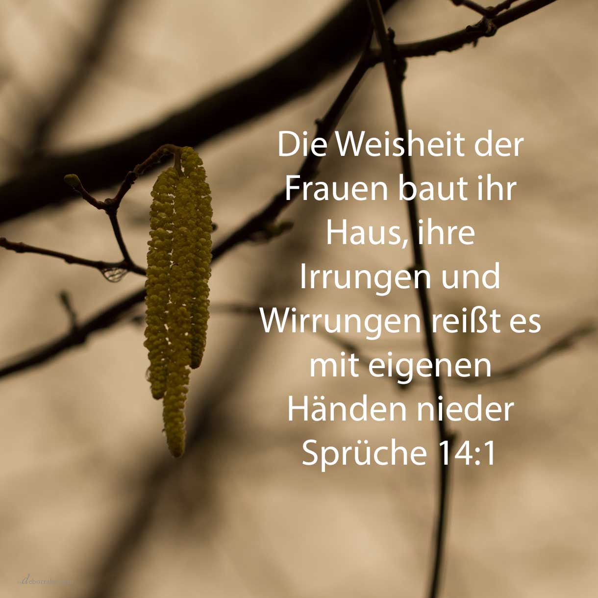 Der Weiber Weisheit baut ihr Haus, und ihre Narrheit reißt es mit eigenen Händen nieder ( Sprüche 14,1 )