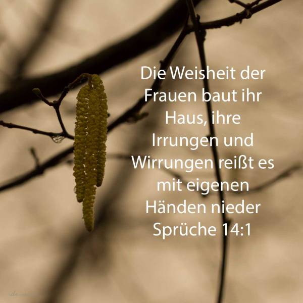 Der Weiber Weisheit baut ihr Haus, und ihre Narrheit reißt es mit eigenen Händen nieder ( Sprüche 14,1 )