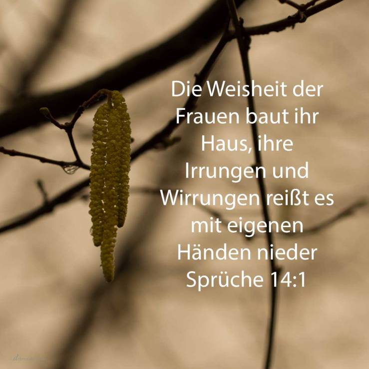 Der Weiber Weisheit baut ihr Haus, und ihre Narrheit reißt es mit eigenen Händen nieder ( Sprüche 14,1 )