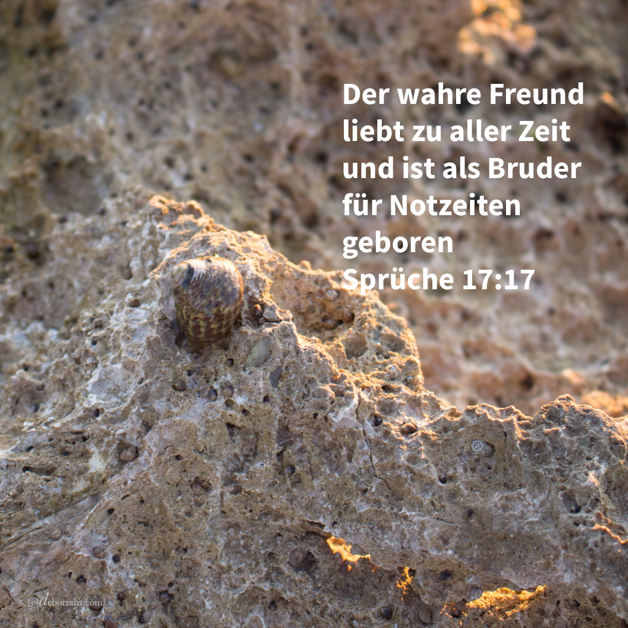 Der Freund liebt zu aller Zeit, und als Bruder für die Drangsal wird er geboren ( Sprüche 17,17 )