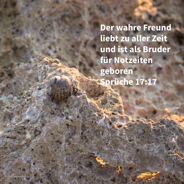 Der Freund liebt zu aller Zeit, und als Bruder für die Drangsal wird er geboren ( Sprüche 17,17 )