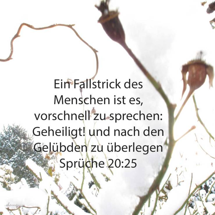 Ein Fallstrick des Menschen ist es, vorschnell zu sprechen: Geheiligt! und nach den Gelübden zu überlegen ( Sprüche 20,25 )