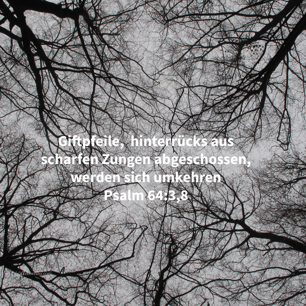 Welche ihre Zungen geschärft haben gleich einem Schwerte, ihren Pfeil angelegt, bitteres Wort, um im Versteck zu schießen auf den Unsträflichen: plötzlich schießen sie auf ihn und scheuen sich nicht ( Psalm 64:3 ) 