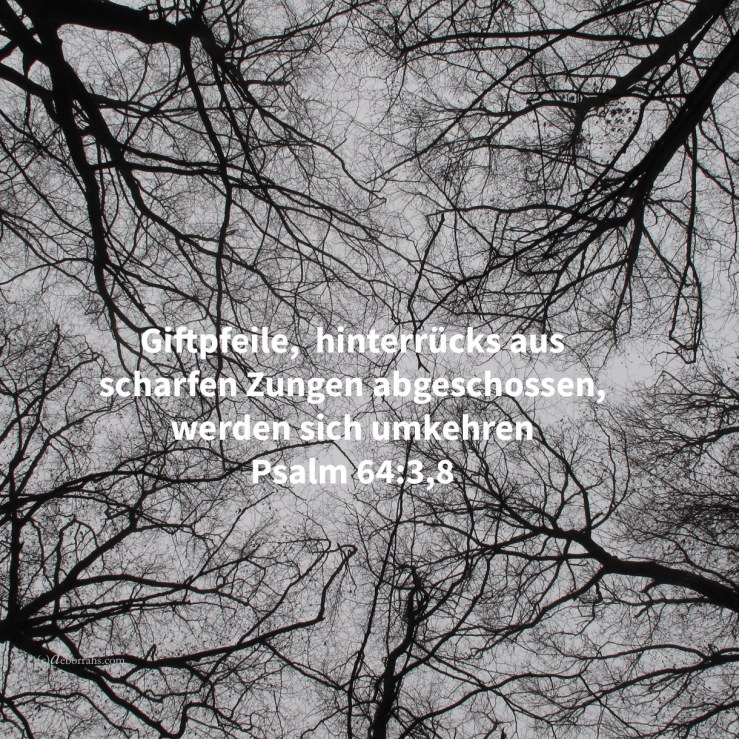 Welche ihre Zungen geschärft haben gleich einem Schwerte, ihren Pfeil angelegt, bitteres Wort, um im Versteck zu schießen auf den Unsträflichen: plötzlich schießen sie auf ihn und scheuen sich nicht ( Psalm 64:3 )