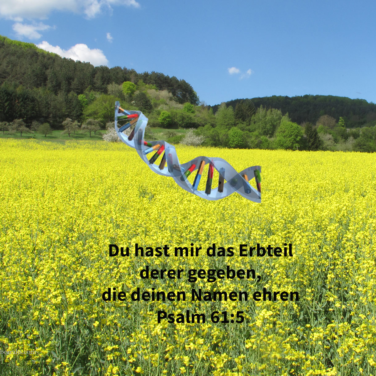 Denn du, Gott, hast auf meine Gelübde gehört, hast mir gegeben das Erbteil derer, die deinen Namen fürchten ( Psalm 61,5 ) 