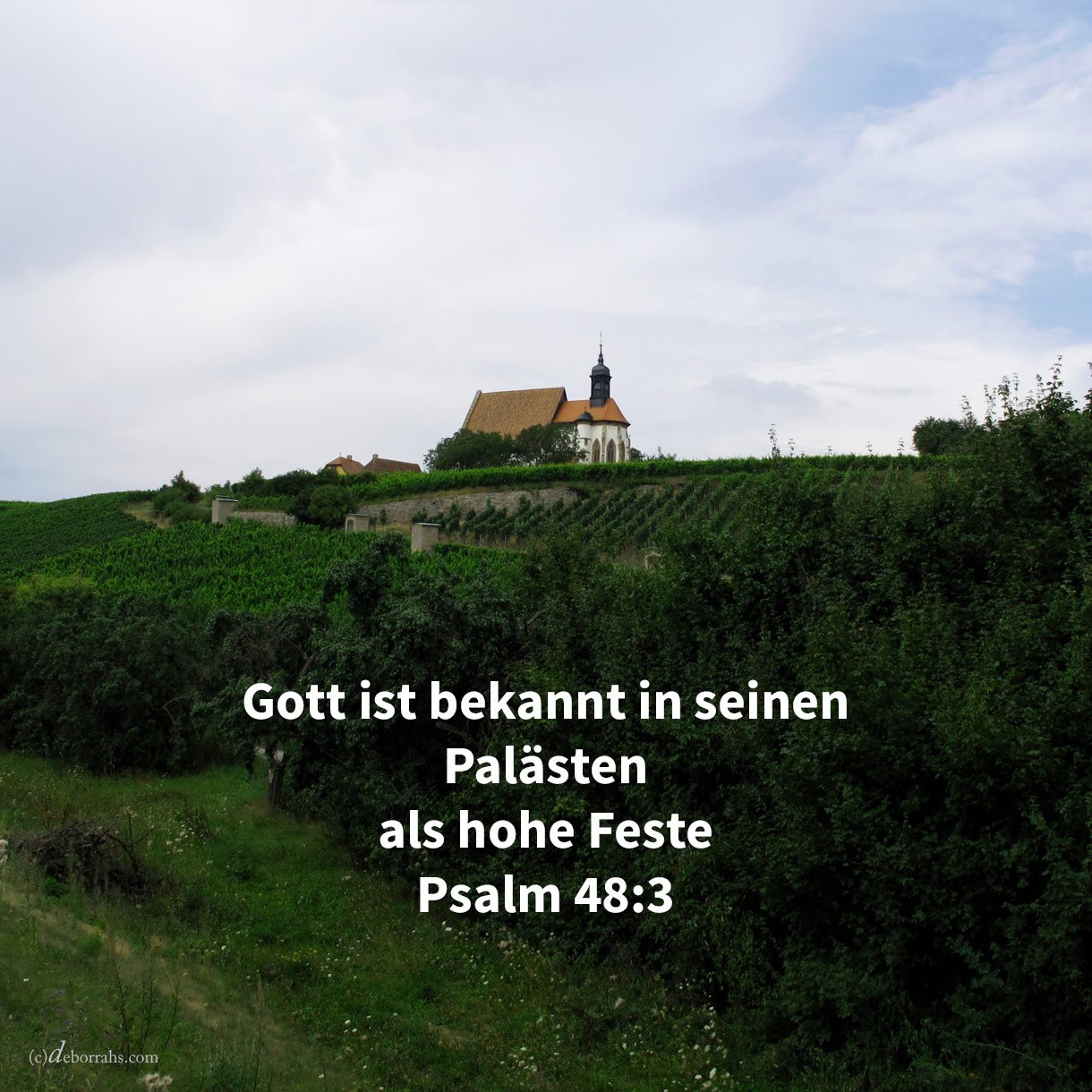 Schön ragt empor, eine Freude der ganzen Erde, der Berg Zion, die Stadt des großen Königs. Gott ist bekannt in ihren Palästen als hohe Feste ( Psalm 48,2-3 )