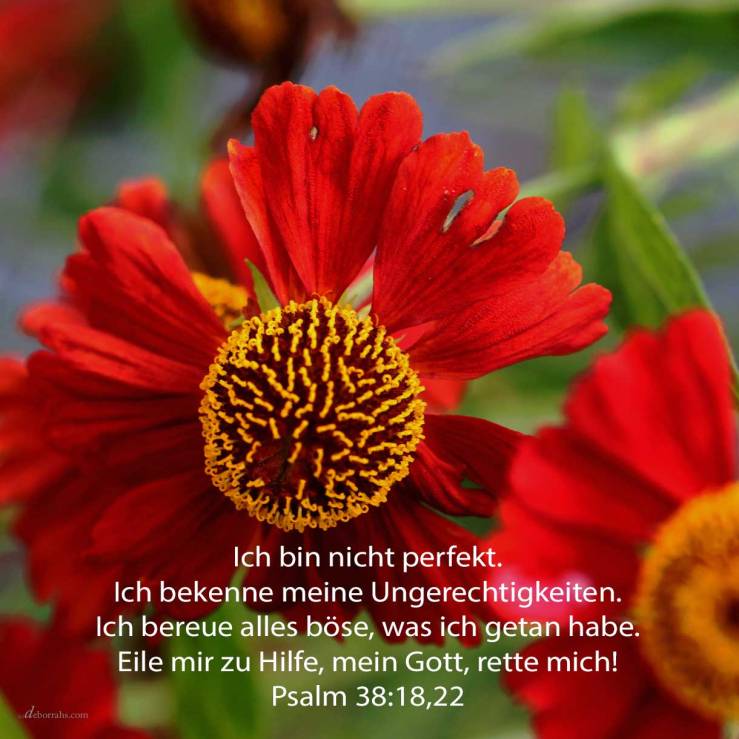 Denn ich tue kund meine Ungerechtigkeit, ich bin bekümmert wegen meiner Sünde (Psalm 38,18)