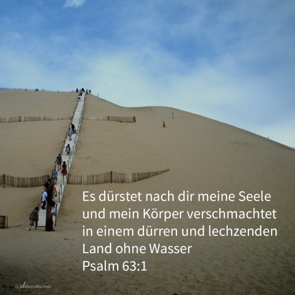 Es dürstet nach dir meine Seele, nach dir schmachtet mein Fleisch in einem dürren und lechzenden Lande ohne Wasser ( Psalm 63,1 )