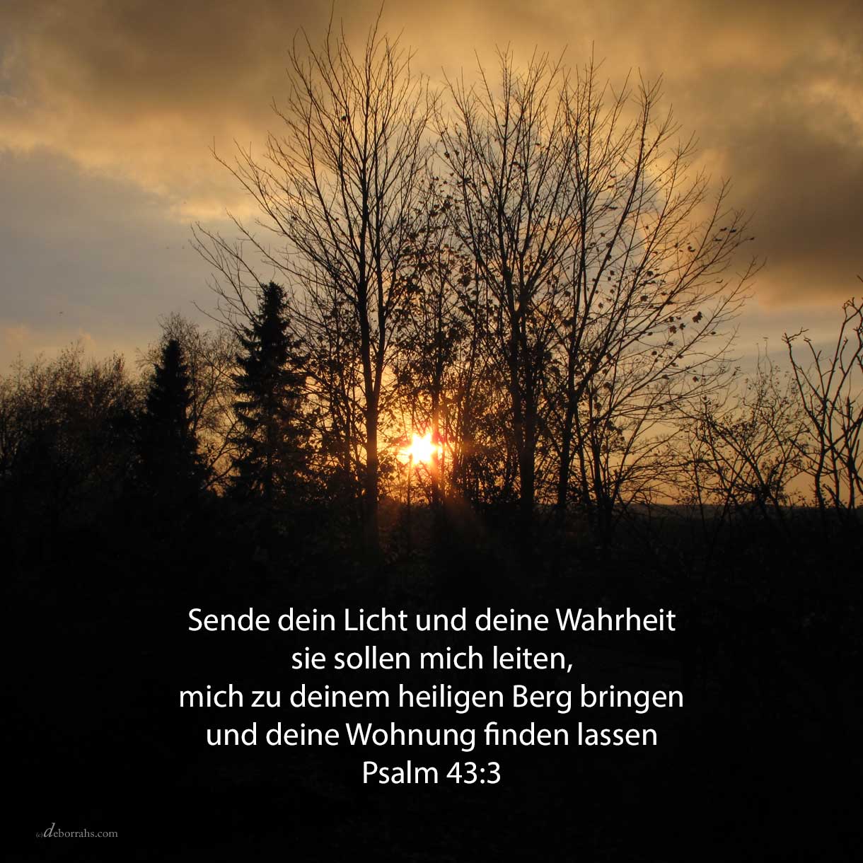 Sende dein Licht und deine Wahrheit; sie sollen mich leiten, mich bringen zu deinem heiligen Berge und zu deinen Wohnungen ( Psalm 43,3 )