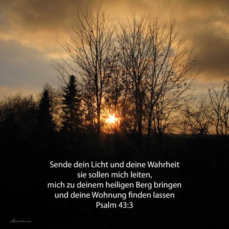 Sende dein Licht und deine Wahrheit; sie sollen mich leiten, mich bringen zu deinem heiligen Berge und zu deinen Wohnungen ( Psalm 43,3 )