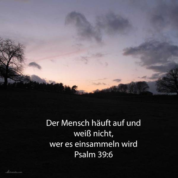 Ja, als ein Schattenbild wandelt der Mensch einher; ja, vergebens ist er voll Unruhe; er häuft auf und weiß nicht, wer es einsammeln wird ( Psalm 39,6 )