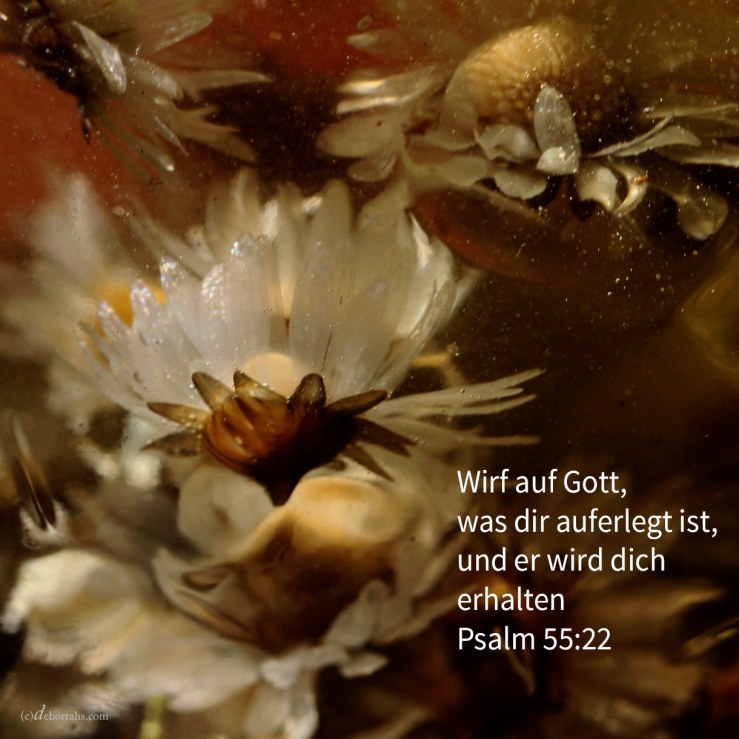 Wirf auf Gott, was dir auferlegt ist, und er wird dich erhalten; er wird nimmermehr zulassen, dass der Gerechte wanke! ( Psalm 55,22 )