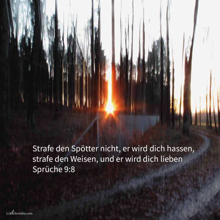 Strafe den Spötter nicht, dass er dich nicht hasse; strafe den Weisen, und er wird dich lieben ( Sprüche 9,8 )