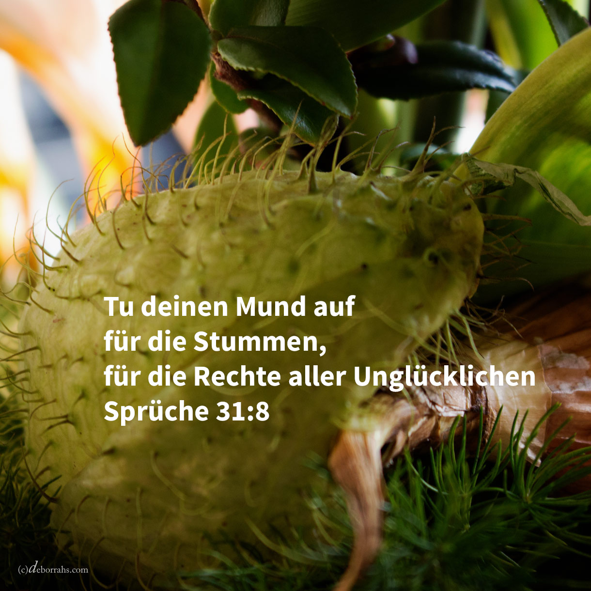 Tue deinen Mund auf für den Stummen, für die Rechtssache aller Unglücklichen. Tue deinen Mund auf, richte gerecht, und schaffe Recht dem Elenden und dem Dürftigen ( Sprüche 31,8-9 ) 