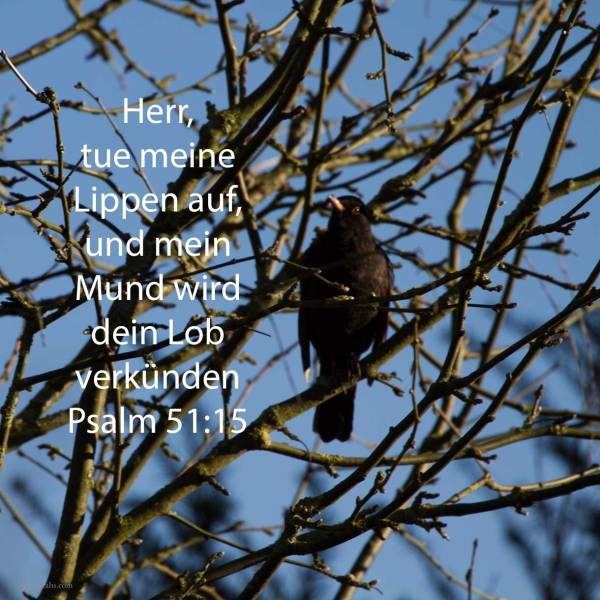 Herr, tue meine Lippen auf, und mein Mund wird dein Lob verkünden ( Psalm 51,15 )