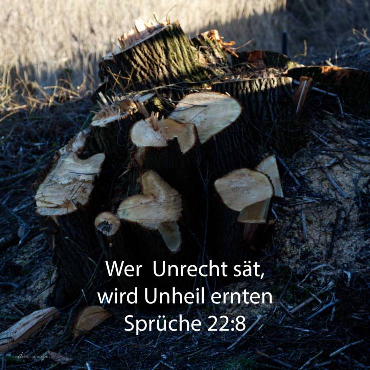 Wer Unrecht sät, wird Unheil ernten, und seines Zornes Rute wird ein Ende nehmen ( Sprüche 22,8 )
