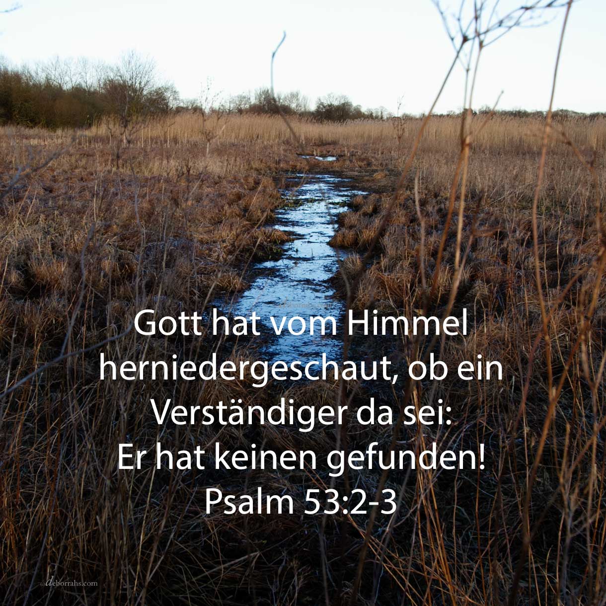 Gott hat vom Himmel herniedergeschaut auf die Menschenkinder, um zu sehen, ob Verständiger da sei, einer, der Gott suche ( Psalm 53,2 )
