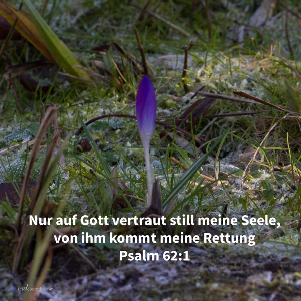 Nur auf Gott vertraut still meine Seele, von ihm kommt meine Rettung ( Ps 62,1 )