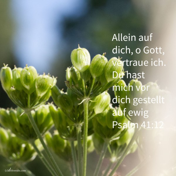 Ich aber, in meiner Lauterkeit hast du mich aufrecht gehalten und mich vor dich gestellt auf ewig ( Psalm 41,12 )