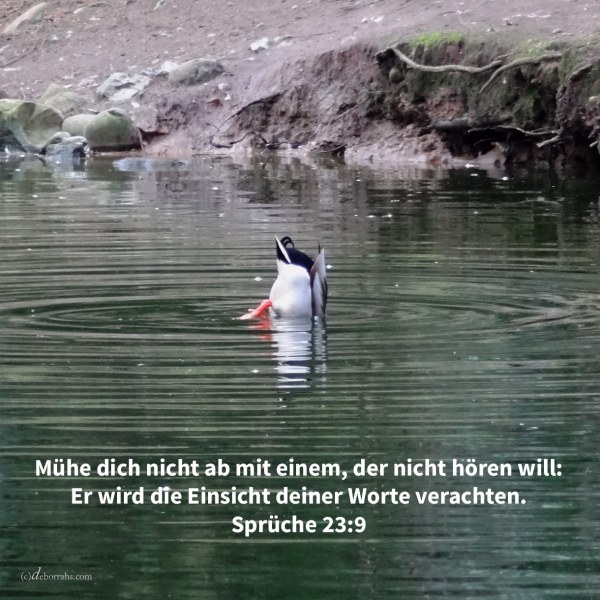 Rede nicht zu den Ohren eines Toren, denn er wird die Einsicht deiner Worte verachten ( Sprüche 23,9 )