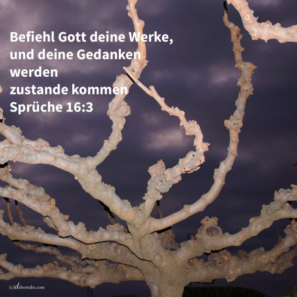 Befiehl Gott deine Werke, und deine Gedanken werden zustande kommen ( Sprüche 16,3 )