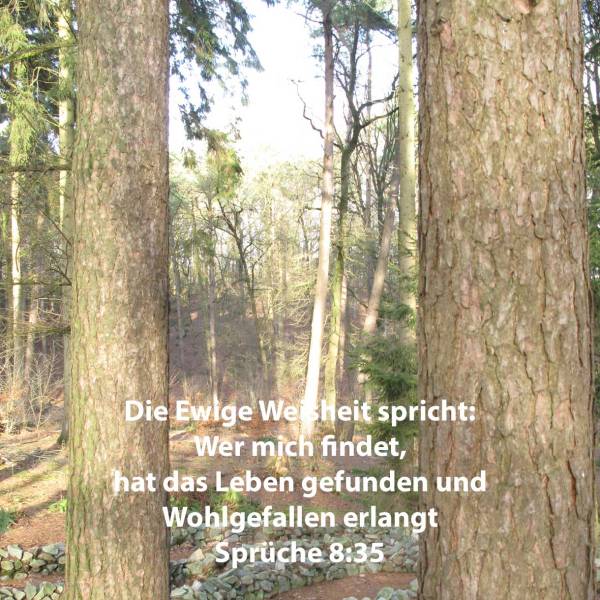 Denn wer mit findet, hat das Leben gefunden und Wohlgefallen erlangt von Jehova ( Sprüche 8,35 )