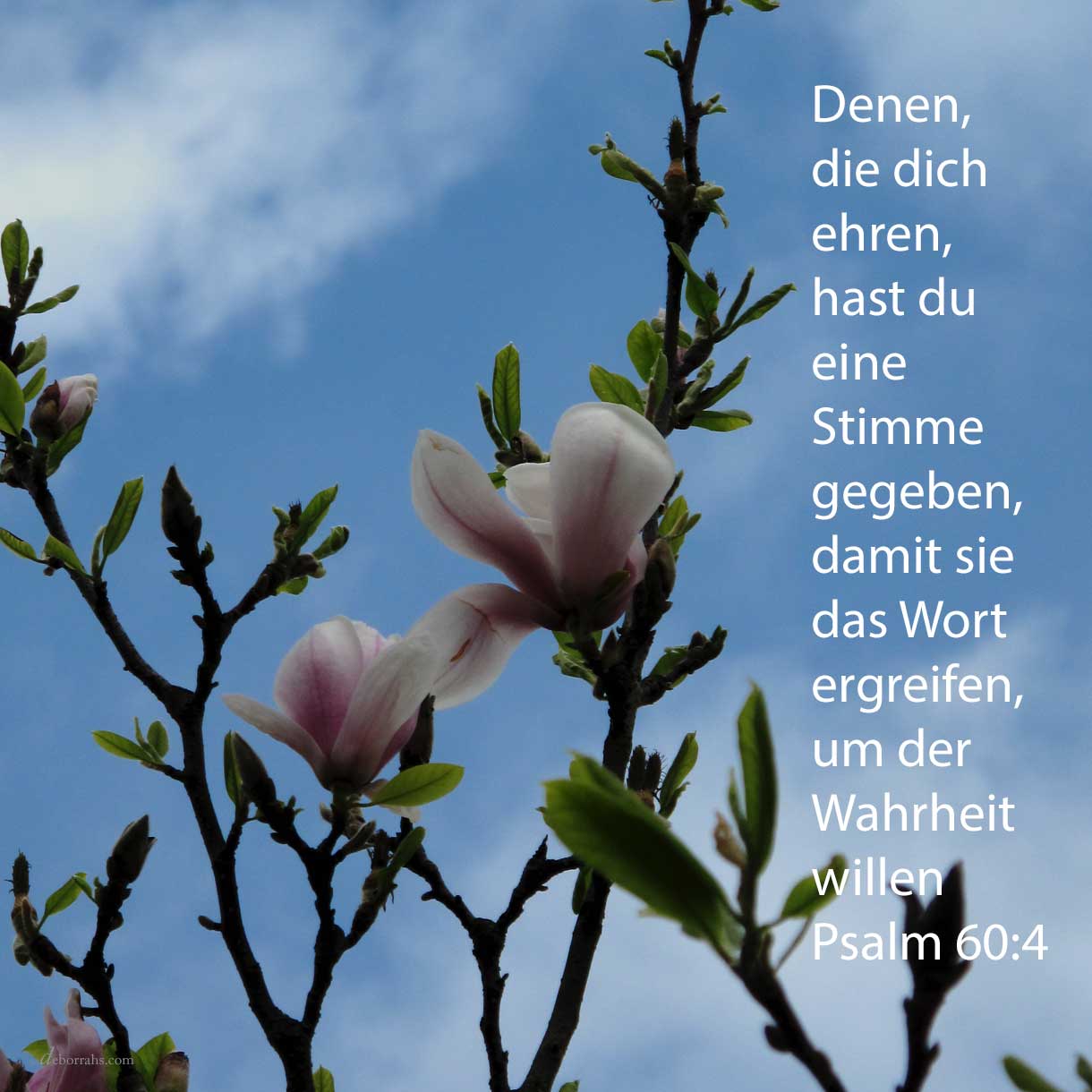 Denen, die dich fürchten, hast du ein Panier gegeben, dass es sich erhebe um der Wahrheit willen ( Psalm 60,4 )