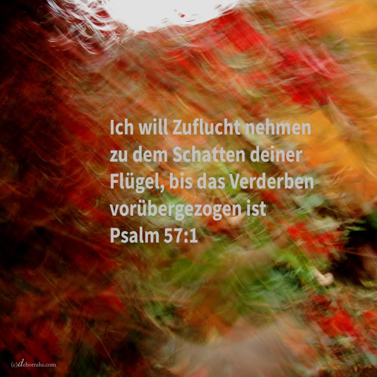 Sei gnädig, o Gott, sei mir gnädig! denn zu dir nimmt Zuflucht meine Seele, und ich will Zuflucht nehmen zu dem Schatten deiner Flügel, bis vorübergezogen das Verderben ( Psalm 57,1 )