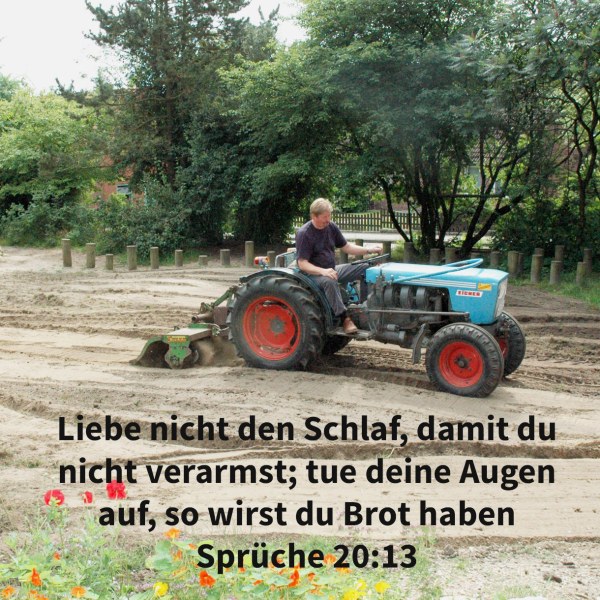 Liebe nicht den Schlaf, damit du nicht verarmest; tue deine Augen auf, so wirst du satt Brot haben ( Sprüche 20,13 )