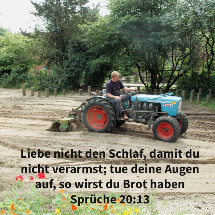 Liebe nicht den Schlaf, damit du nicht verarmest; tue deine Augen auf, so wirst du satt Brot haben ( Sprüche 20,13 )