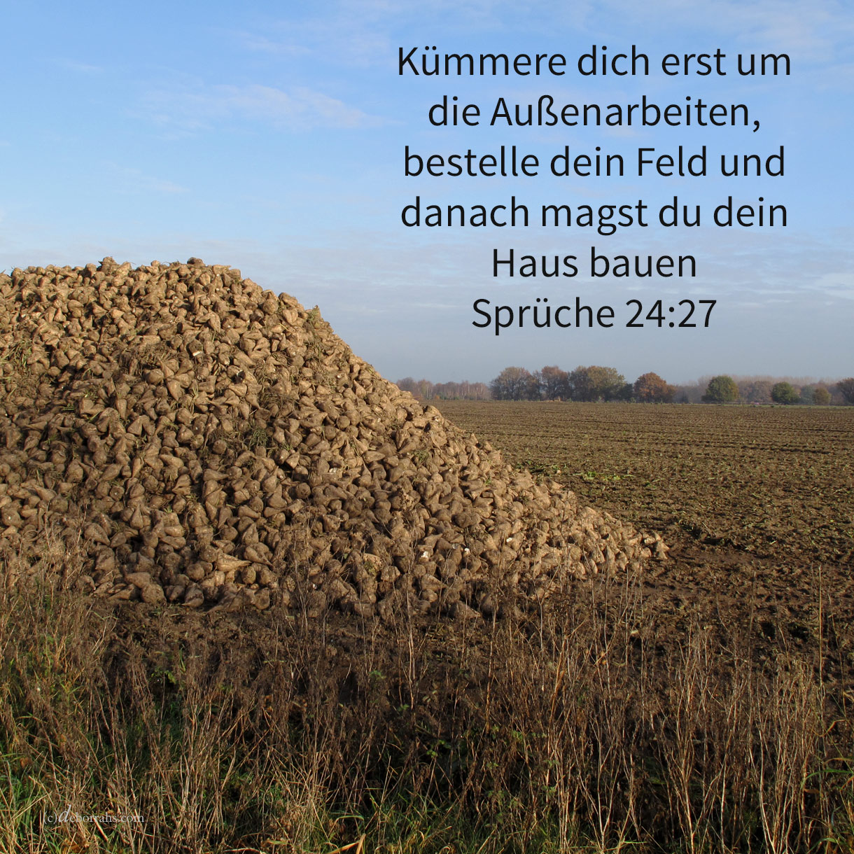  Besorge draußen dein Arbeit und bestelle sie dir auf dem Felde; hernach magst du dann dein Haus bauen ( Sprüche 24,27 ) 