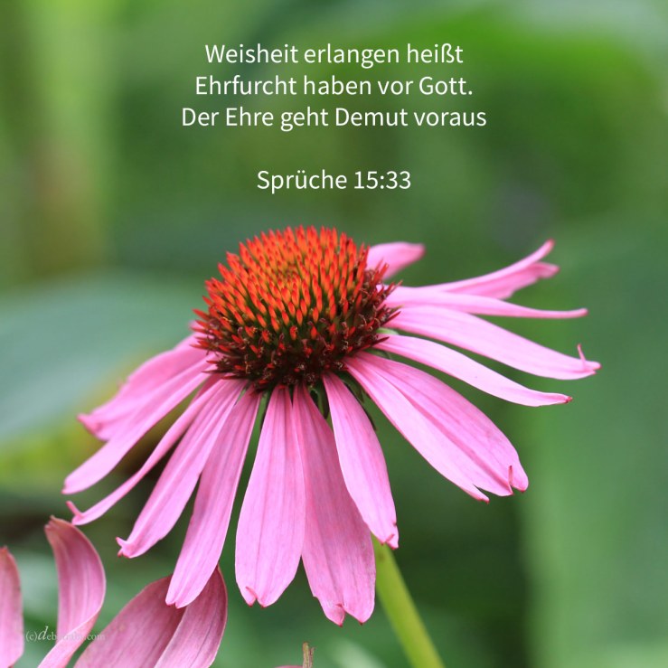 Die Furcht Jehovas ist Unterweisung zur Weisheit, und der Ehre geht Demut voraus ( Sprüche 15,33 )