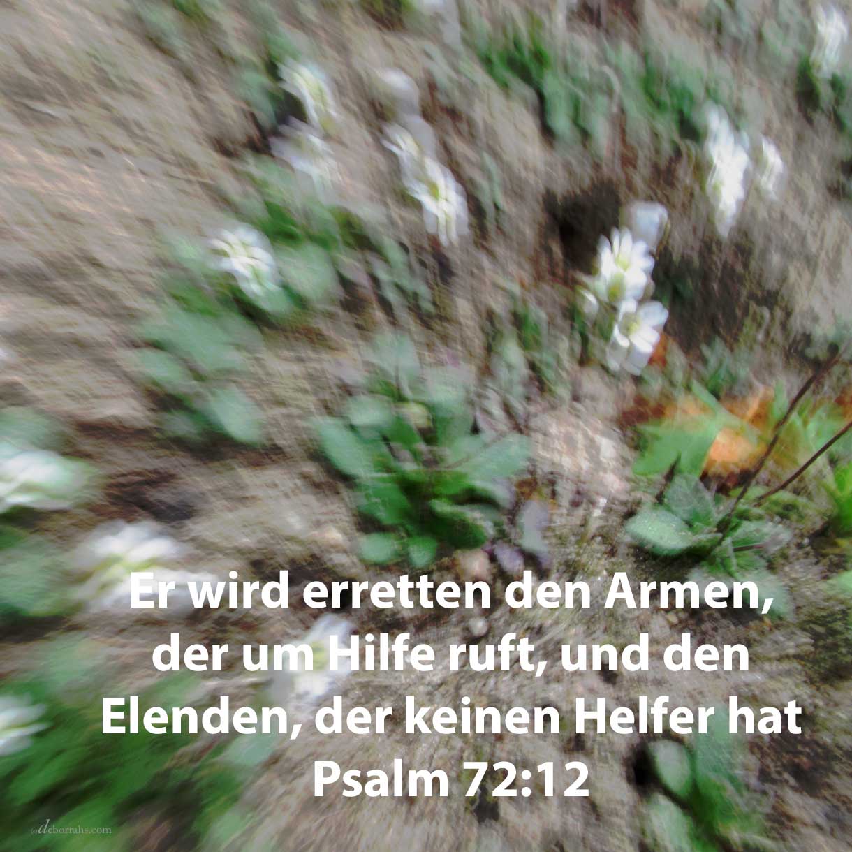  Denn erretten wird er den Armen, der um Hilfe ruft, und den Elenden, der keinen Helfer hat ( Psalm 72,12 ) 