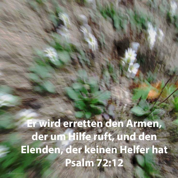 Denn erretten wird er den Armen, der um Hilfe ruft, und den Elenden, der keinen Helfer hat ( Psalm 72,12 )