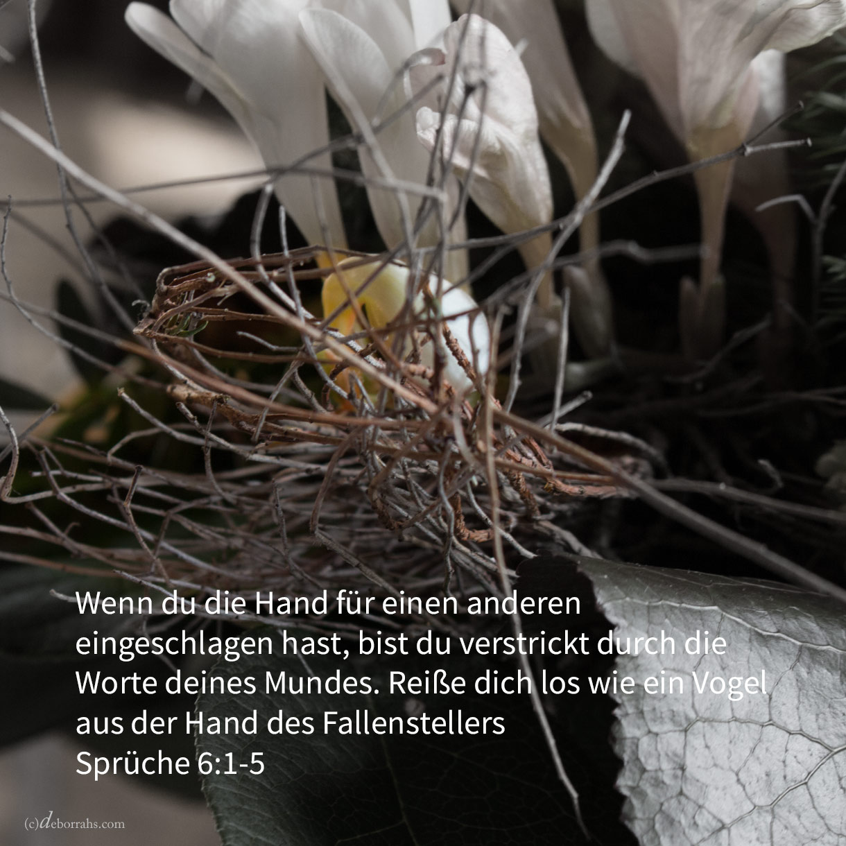  Wenn du Bürge geworden bist für deinen Nächsten, für einen anderen deine Hand eingeschlagen hast, bist du verstrickt durch die Worte deines Mundes ( Sprüche 6,1-5 ) 